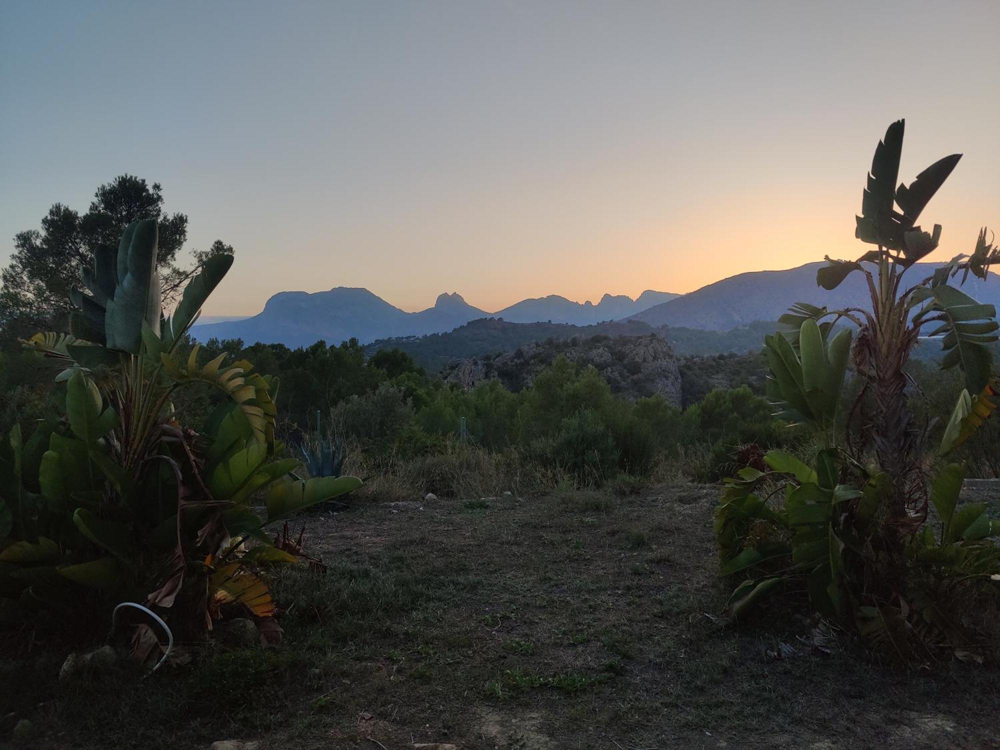 Finca Caracol Bolulla Ngoại thất bức ảnh